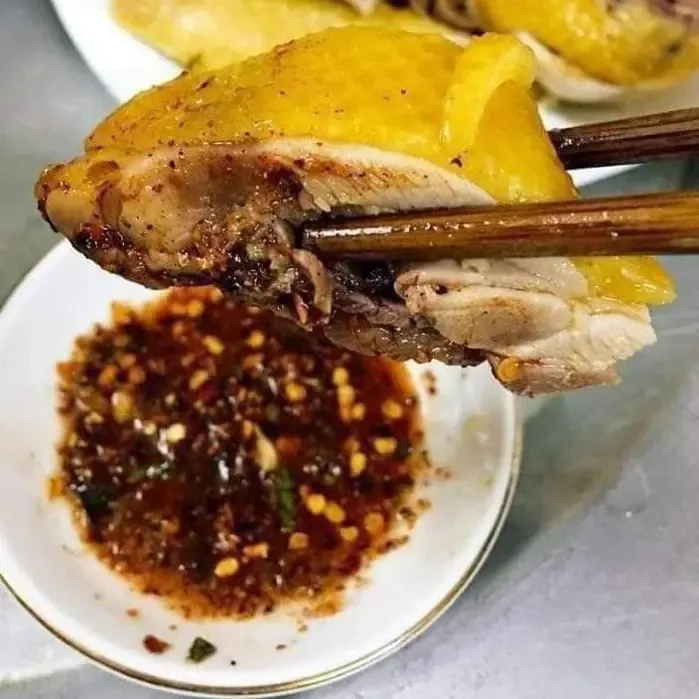 Chẳm chéo Tây Bắc