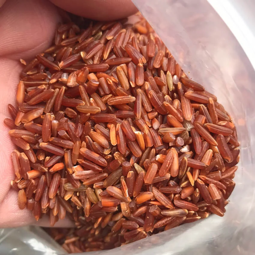 Gạo huyết rồng Điện Biên