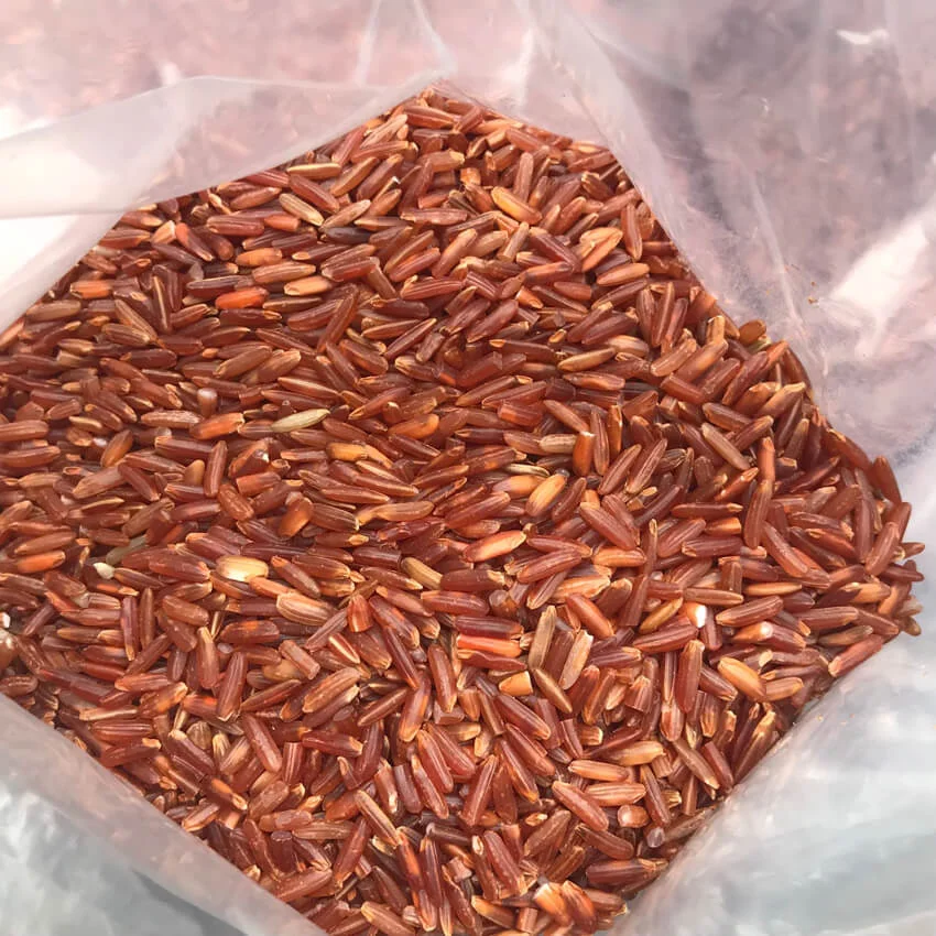 Gạo huyết rồng Điện Biên