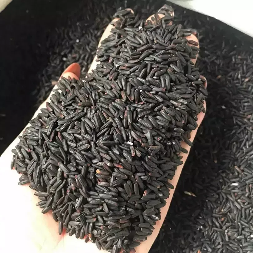 Gạo lứt đen dẻo