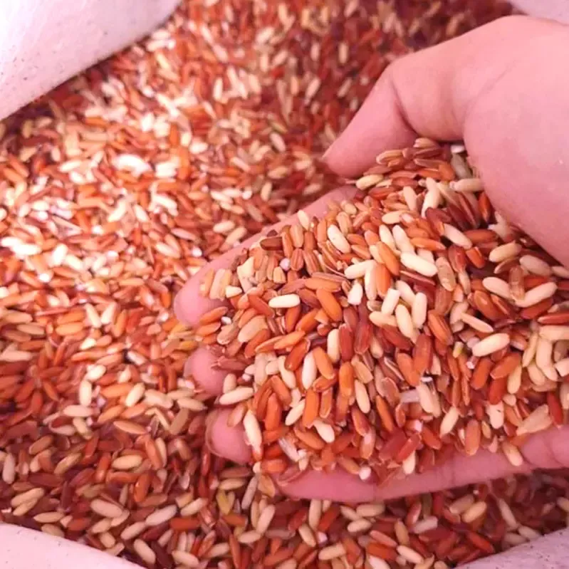 Gạo lứt đỏ dẻo huyết rồng