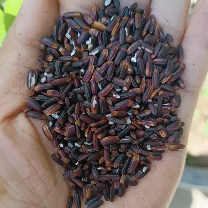 Gạo Nếp Cẩm Tây Bắc