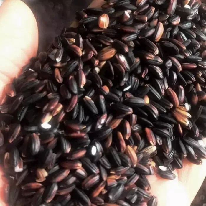 Gạo Nếp Cẩm Tây Bắc