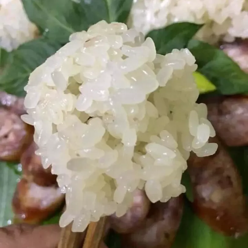 Gạo Nếp Tú Lệ Yên Bái