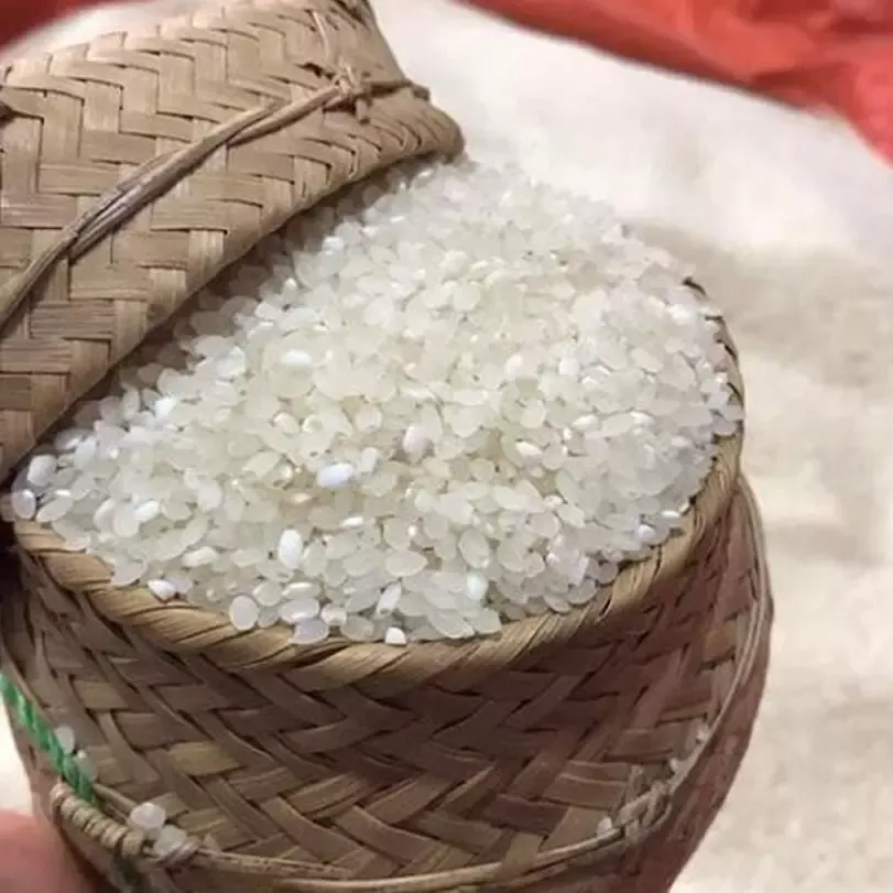 Gạo Nếp Tú Lệ Yên Bái