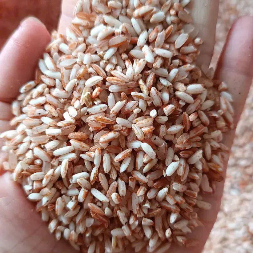 Gạo lứt đỏ dẻo huyết rồng