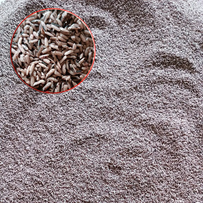 Gạo nương tím dẻo Lai Châu