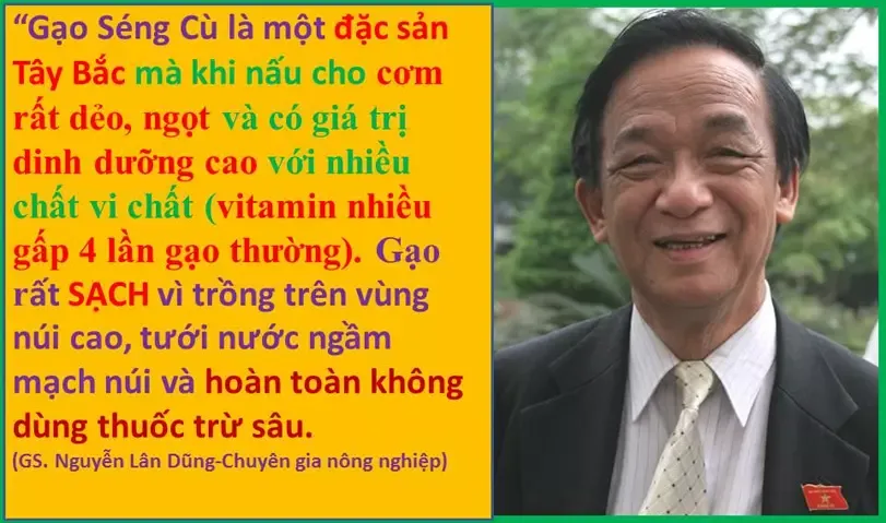 Gạo Séng Cù dài