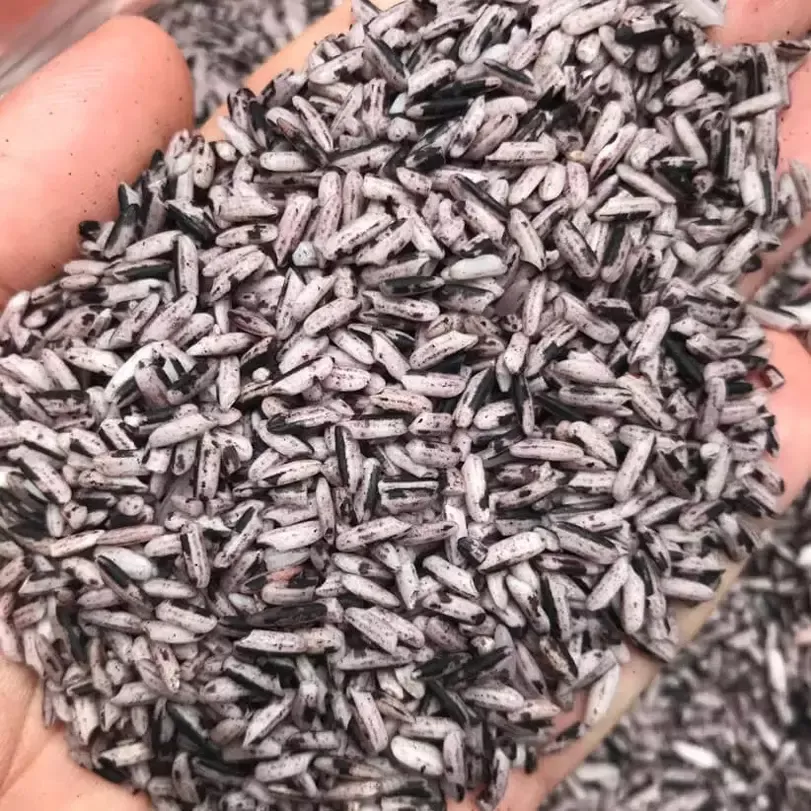 gạo nương tím tây bắc