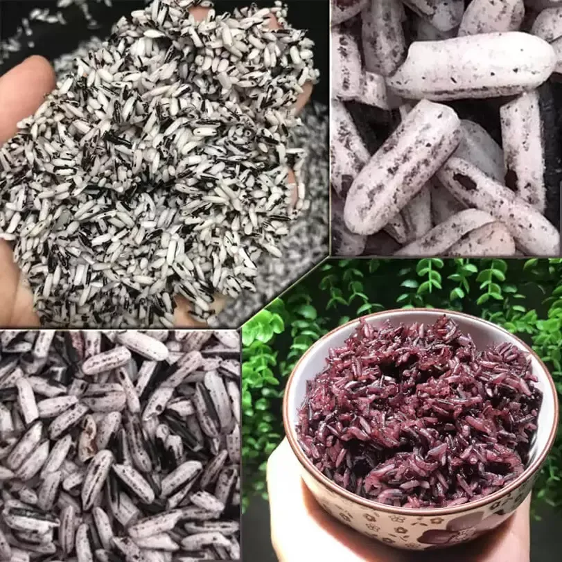 gạo nương tím tây bắc