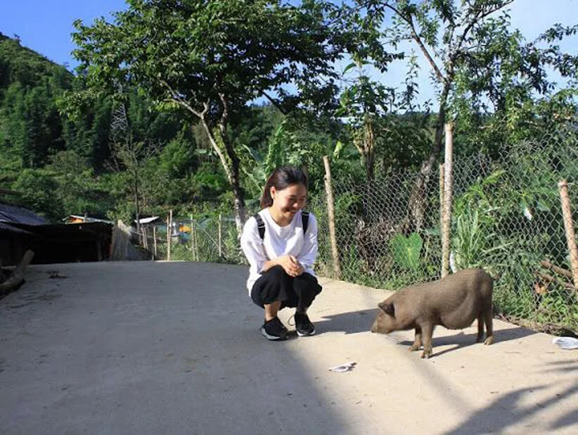 Lợn cắp nách đặc sản Tây Bắc