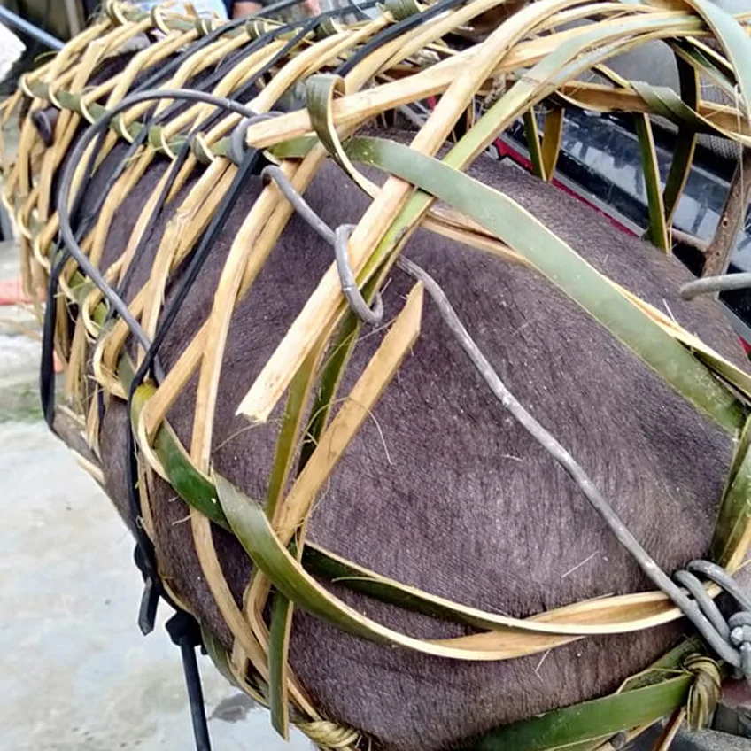 Lợn mán nuôi thả