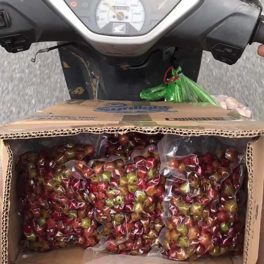 Nho Rừng ngâm rượu