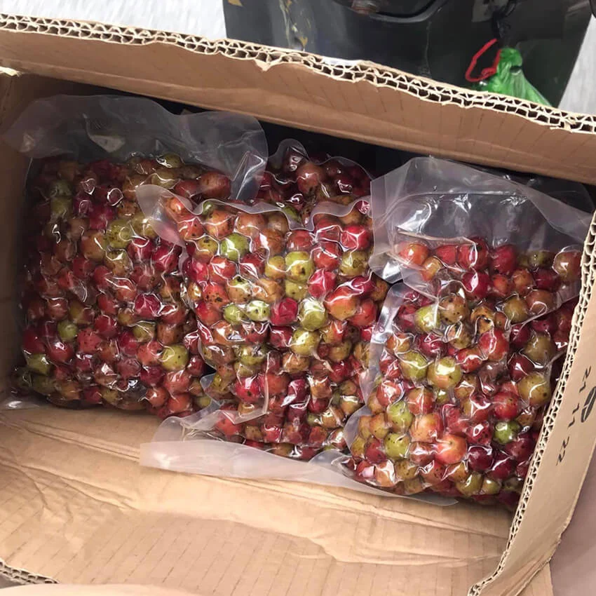 Nho Rừng ngâm rượu