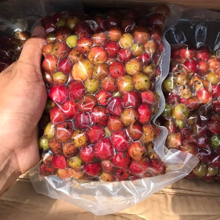 Nho Rừng ngâm rượu