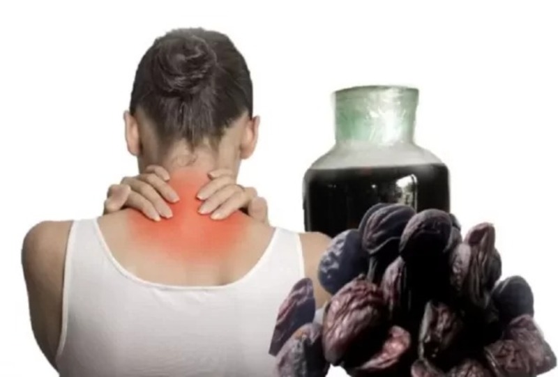 tác dụng chữa bệnh của hạt dổi