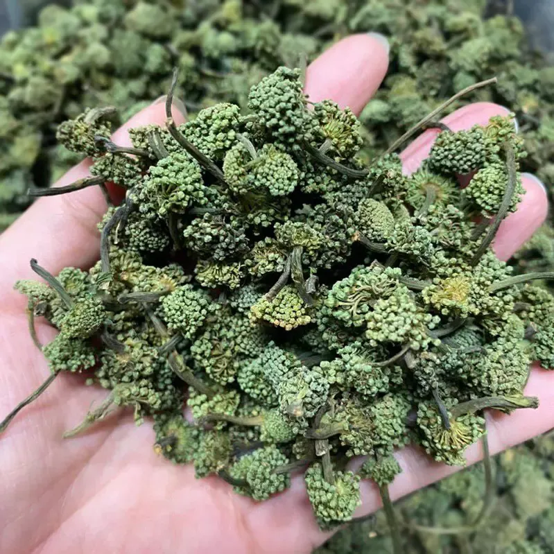 Nụ hoa Tam Thất khô