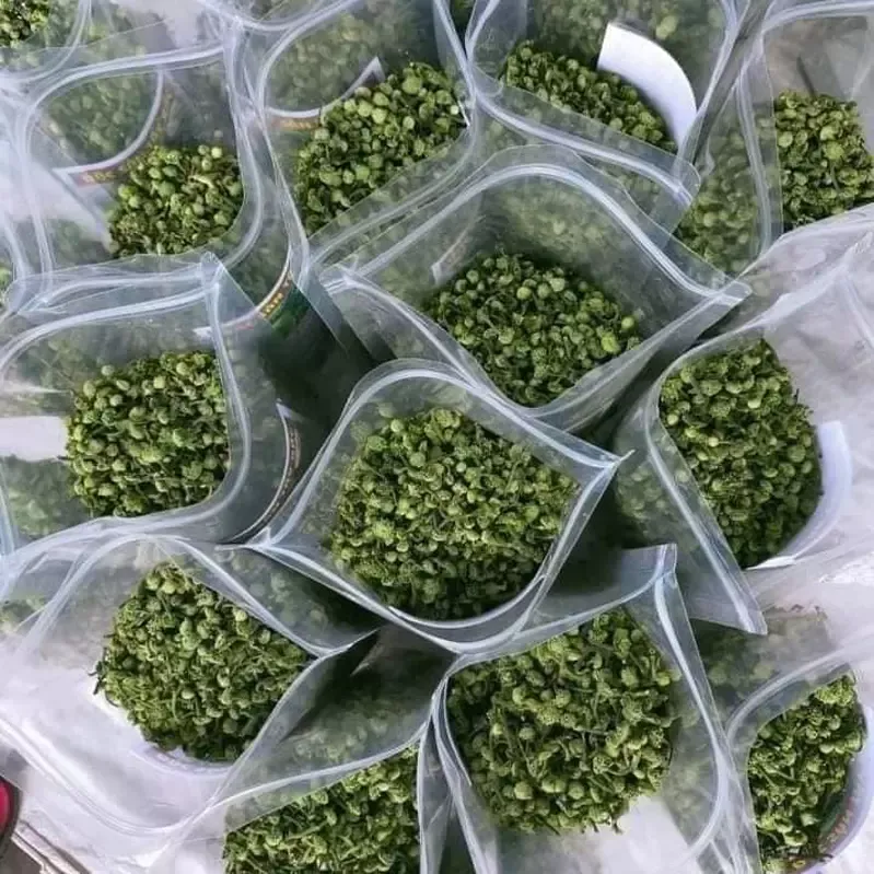 Nụ hoa Tam Thất khô