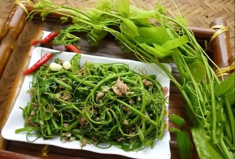 Rau bò khai Tây Bắc