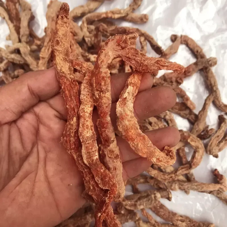 Rễ Cây Tứn Khửn Khô