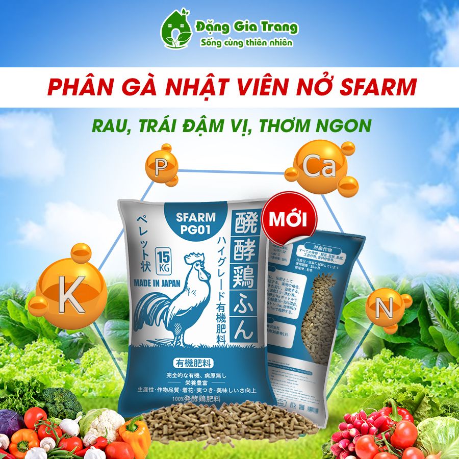 phan-ga-bon-cay-sfarm