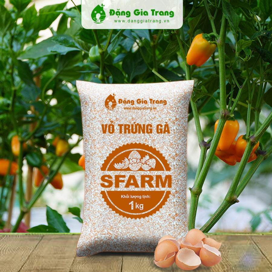 Vo Trung Ga Sfarm