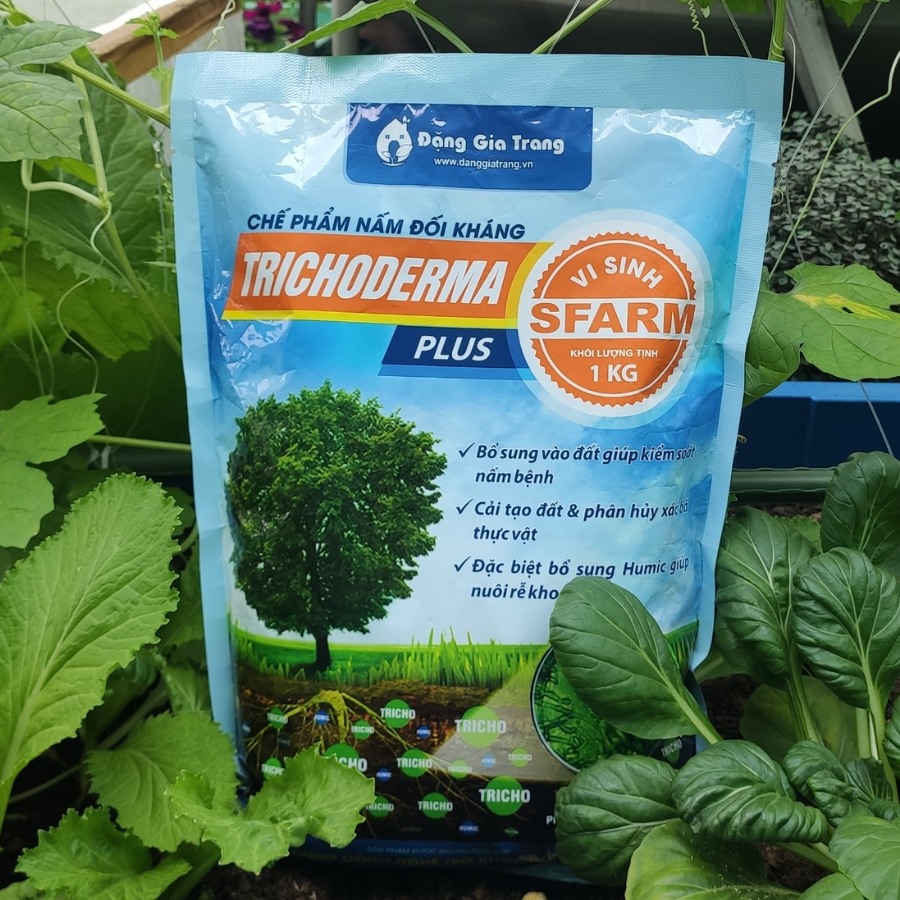 Nấm đối Kháng Trichoderma Plus Sfarm