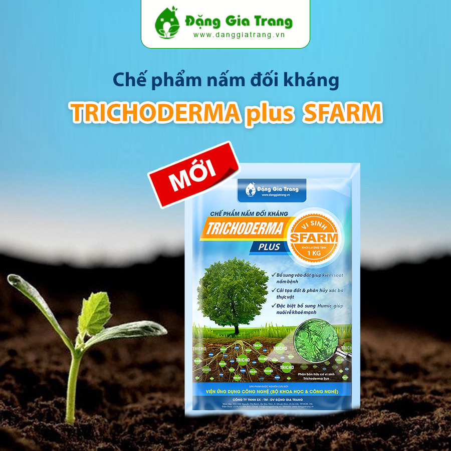 Nam Doi Khan Trichoderma Sfarm