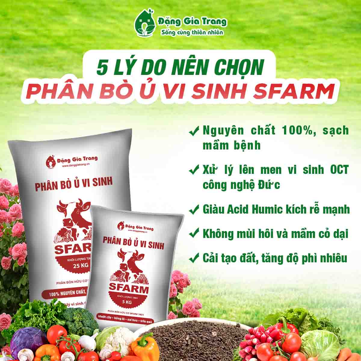 Phan Bo Huu Co Vi Sinh Sfarm 1
