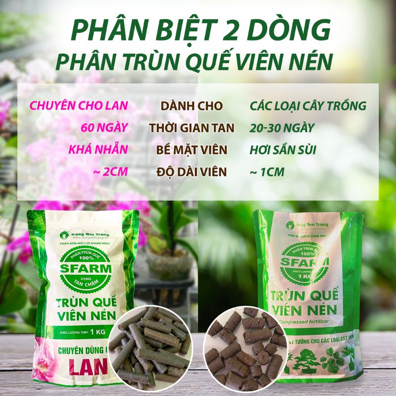 Phan Trun Que Vien Nen Sfarm 3