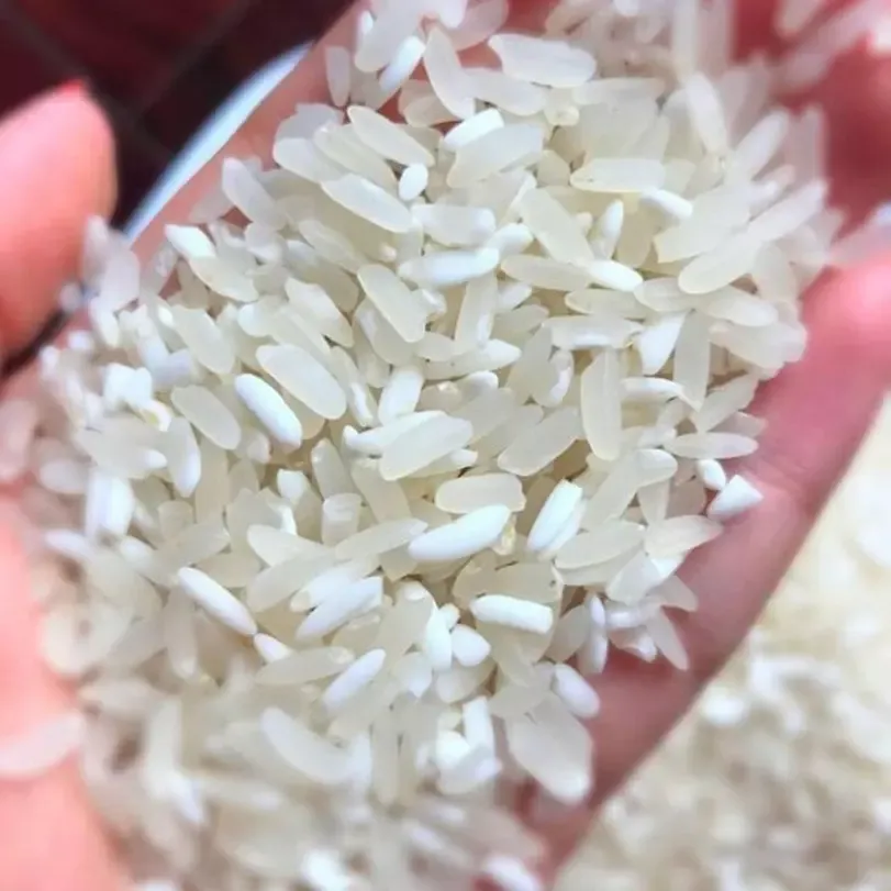 Gạo Nếp Nương Điện Biên